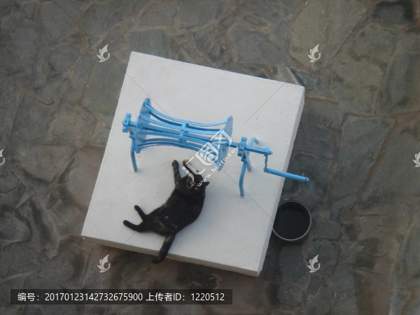 黑貓?jiān)谇熬? title=