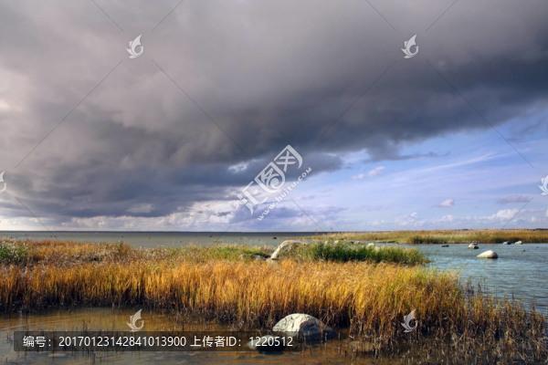 一個甘蔗雨開始