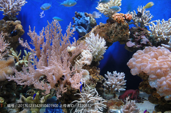 水族館
