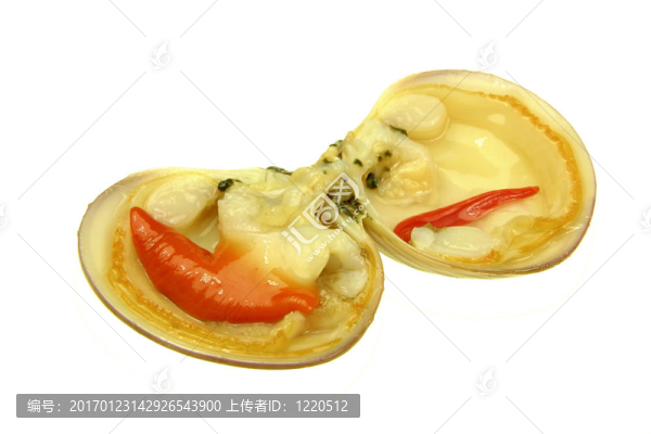 蛤