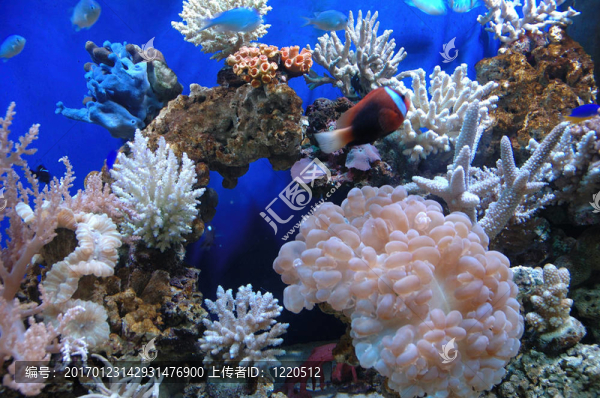 水族館