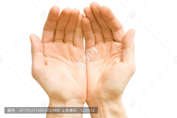 手