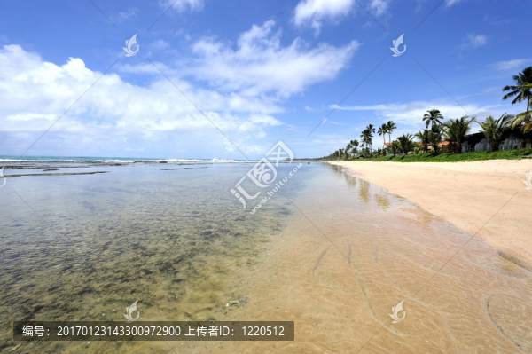 天堂海灘巴西