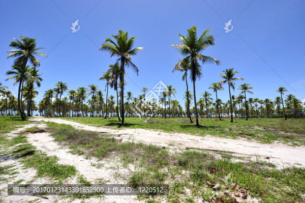 天堂海灘巴西-匯圖網(wǎng) www.fosd68.com 天堂海灘巴西