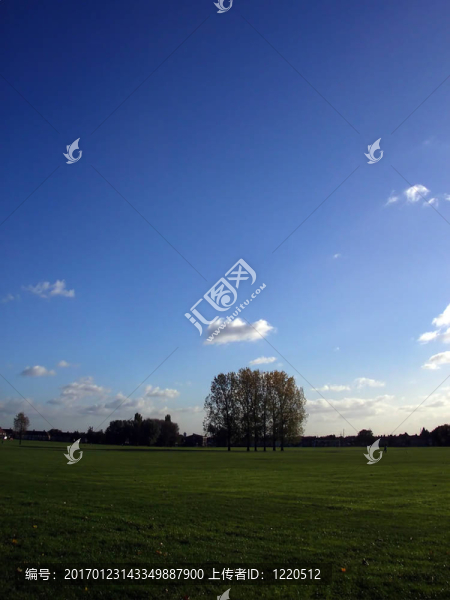 達(dá)格南的樹