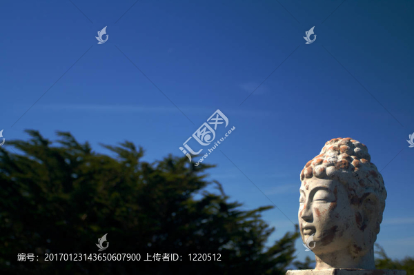 亞洲陶瓷頭對(duì)柏樹(shù)藍(lán)色天空