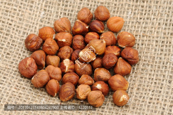 在粗麻布特寫榛子