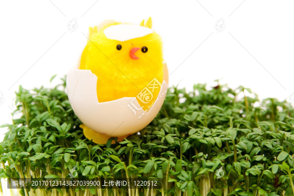 復活節(jié)