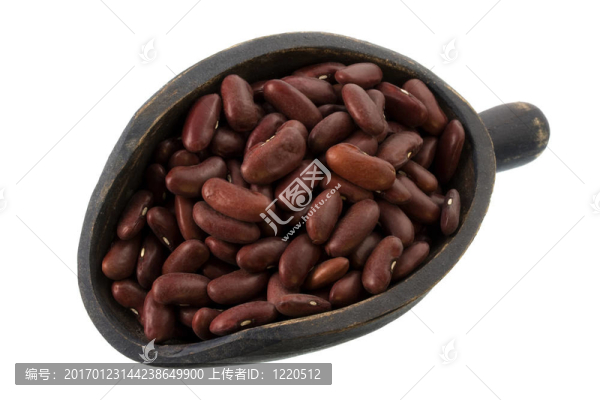 勺型紅腎豆