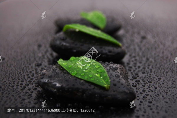 禪石養(yǎng)生觀