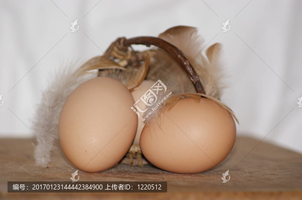 籃子里的雞蛋