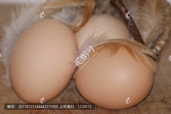 籃子里的雞蛋