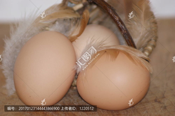 籃子里的雞蛋