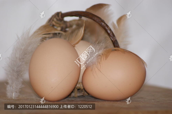 籃子里的雞蛋