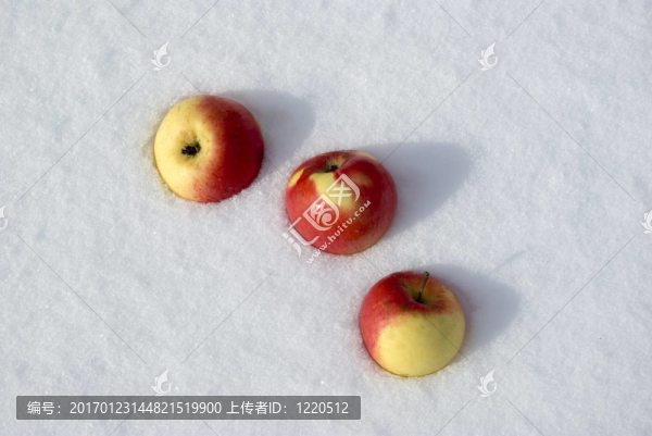蘋果