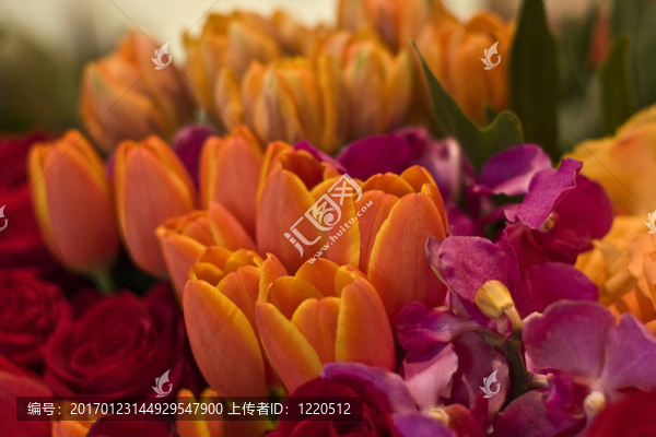 郁金香花藝