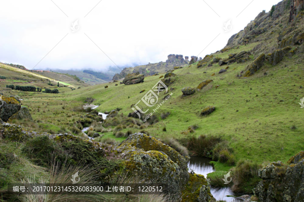 霧蒙蒙的高地-匯圖網(wǎng) www.fosd68.com 霧蒙蒙的高地