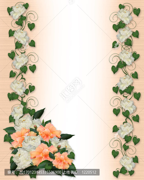 常春藤邊境邀請(qǐng)芙蓉牡丹