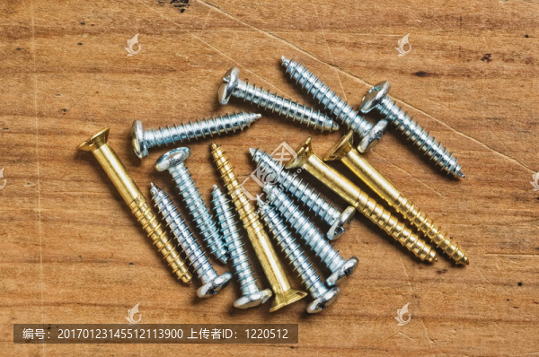 木材上的各種螺釘。