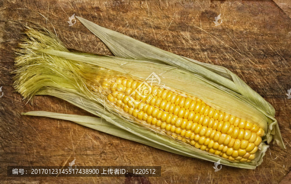 玉米棒子