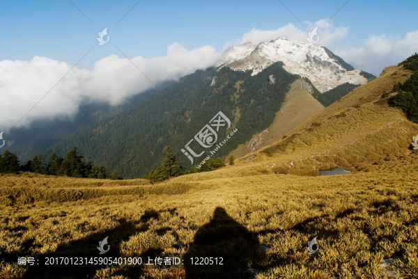 雪山與黃草原景觀。