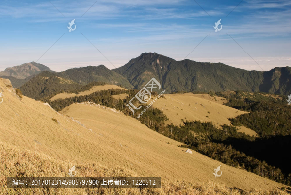金色草原的山地景觀。