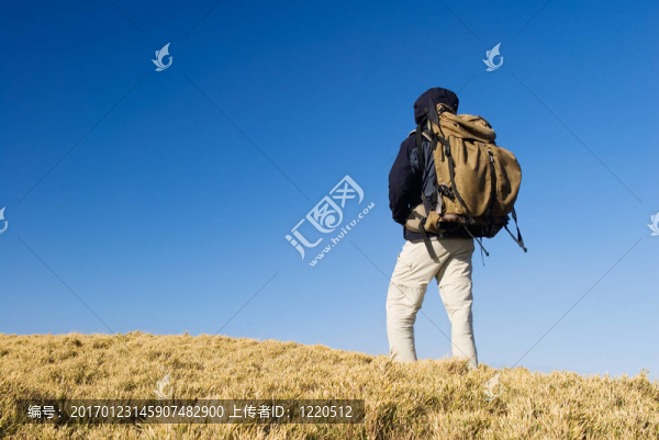 在山上的黃色草地背包走。