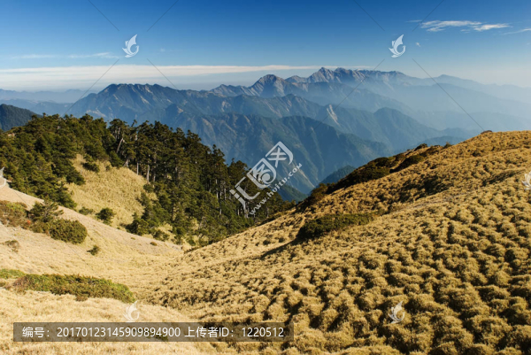 金色草原的山地景觀。