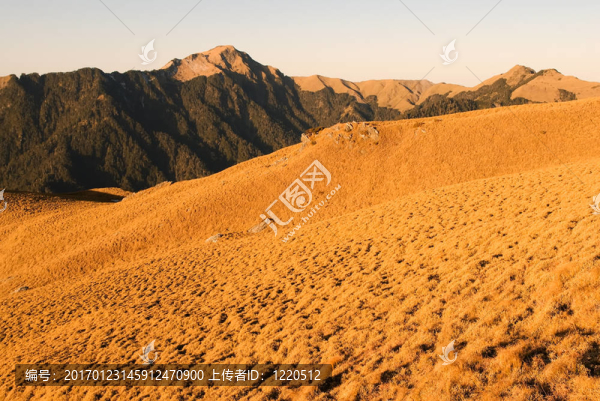 金色草原的山地景觀。