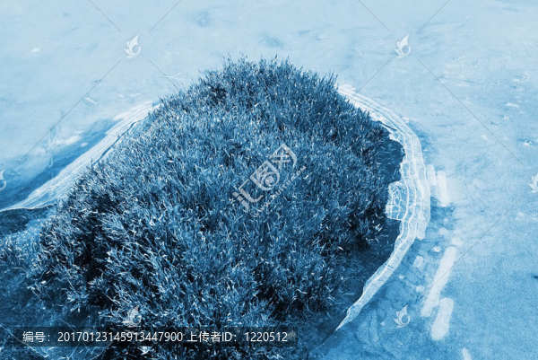 美麗奇怪的冰池塘表面和草。