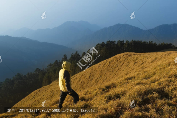 一個男人帶著金色的草地注視著山。
