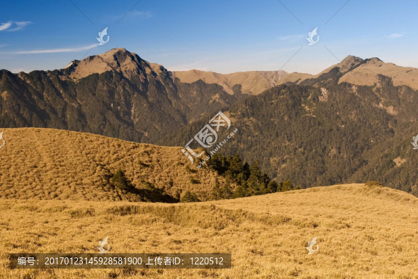 金色草原的山地景觀。