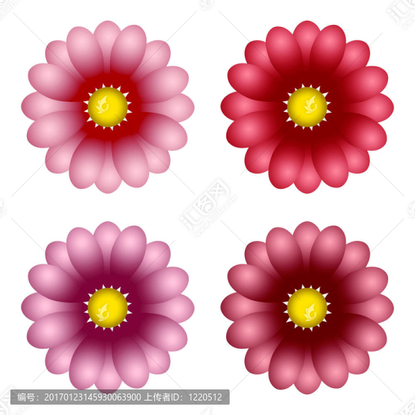 五顏六色的花朵