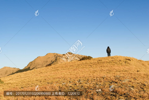 一個人站在山上金色的陽光。