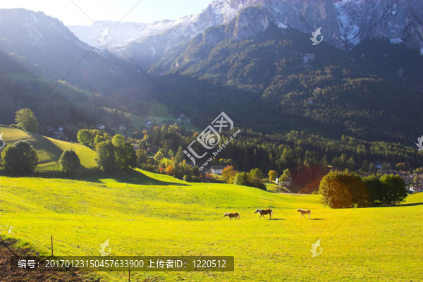 意大利阿爾卑斯山和馬-匯圖網(wǎng) www.fosd68.com 意大利阿爾卑斯山和馬