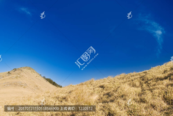 金草原山地景觀