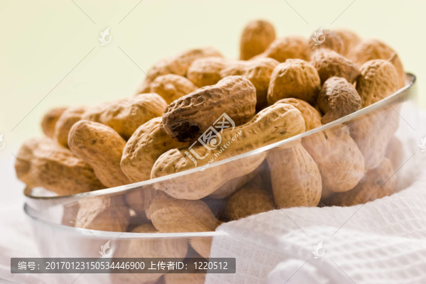 花生-匯圖網(wǎng) www.fosd68.com 花生