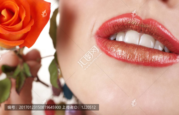 美麗的全唇的宏鏡頭