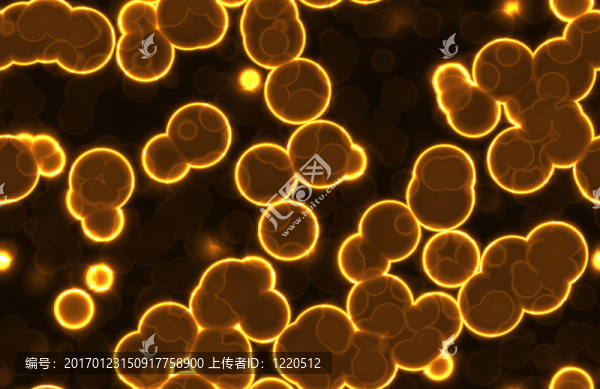細(xì)菌病毒