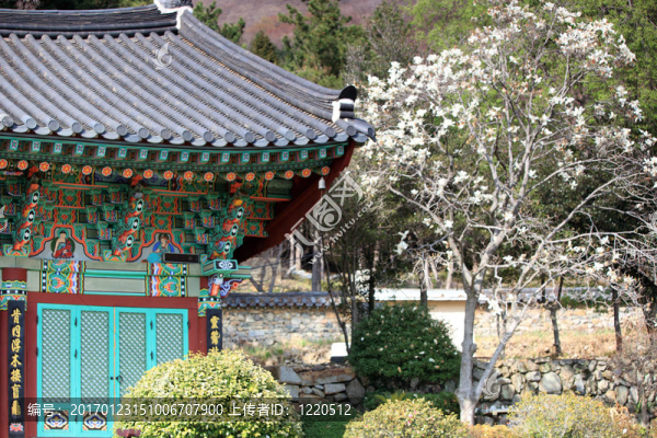 寺廟
