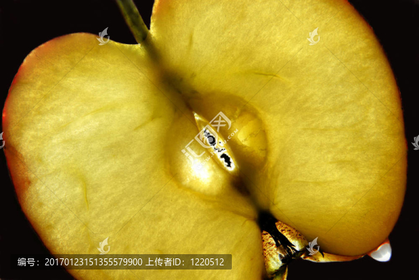 蘋果片