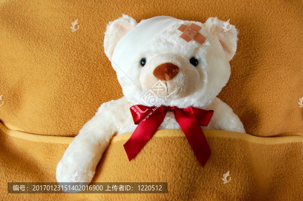 生病的泰迪