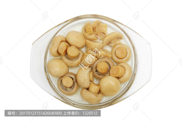 香菇