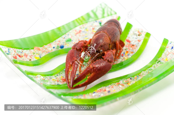 小龍蝦和蝦