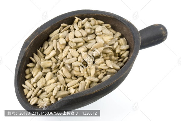 帶殼葵花籽