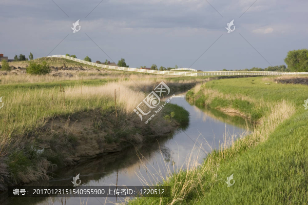 灌溉溝；綠色草地；草地