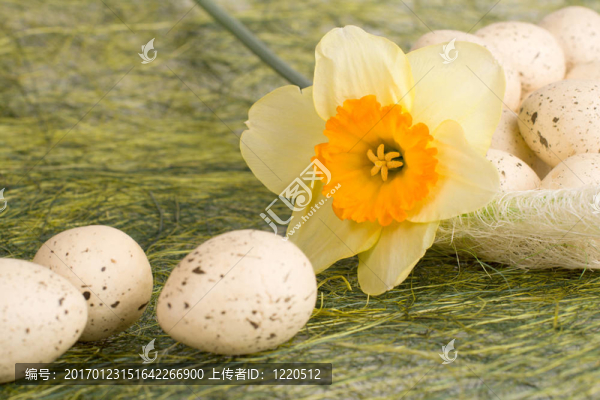 復(fù)活節(jié)彩蛋和水仙花的籃子