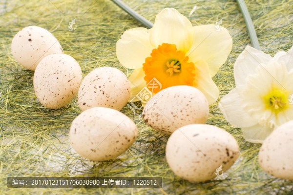 水仙花和復(fù)活節(jié)彩蛋