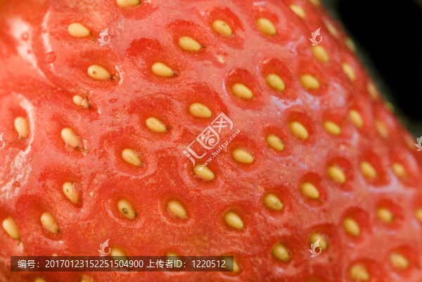 關(guān)閉了草莓
