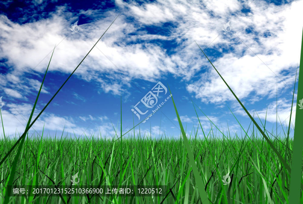 草和一片藍(lán)天